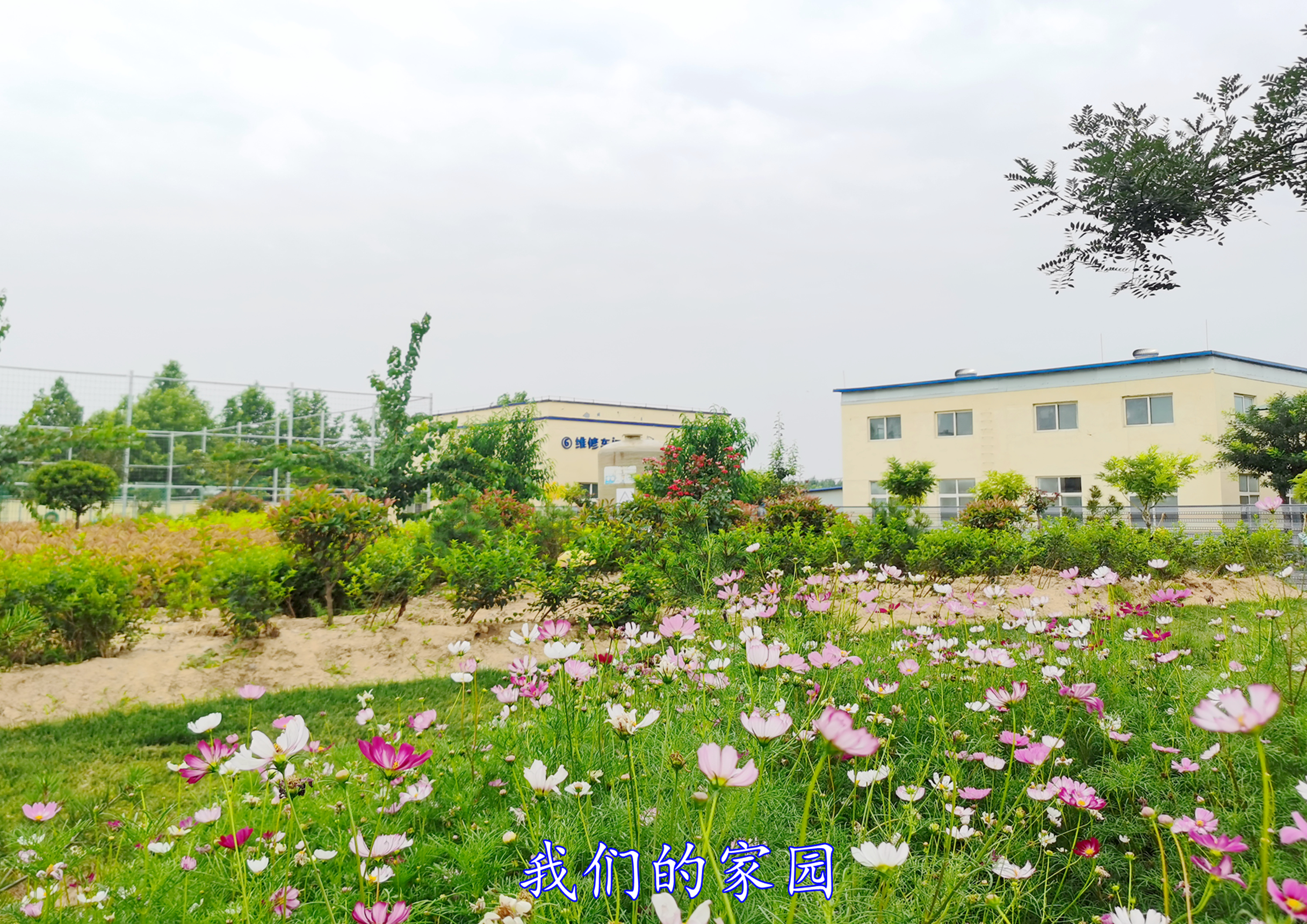 1693364961390.jpg 11.jpg